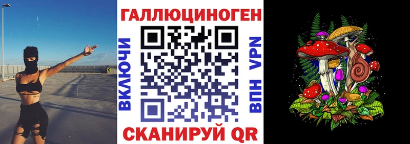Псилоцибиновые грибы мицелий Серафимович
