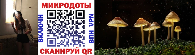 Галлюциногенные грибы мицелий  купить   Серафимович 